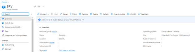 Figura 10: Portal Azure. Máquina virtual, página do recurso. 