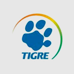 Tigre